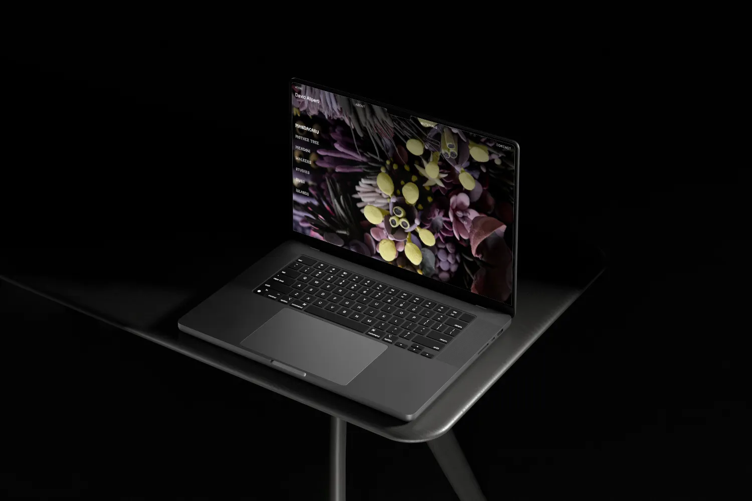 David Aliperti portfolio project preview